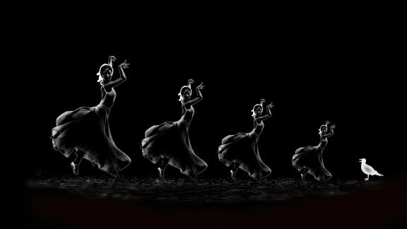 Dancing Light and Shadow