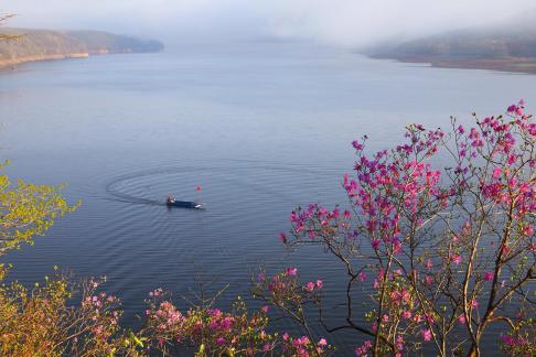 Qingzhou Dujuan Lake
