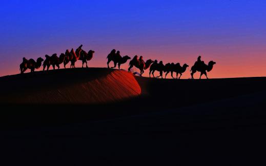Desert Camel Bell