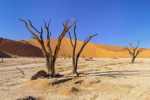 Deadvlei of Namibia 3