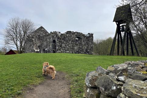 Ruined church of Rya