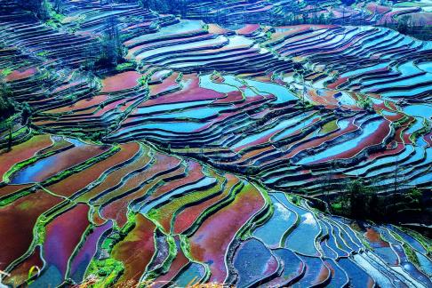 Rice Terraces 02