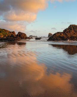 Indian beach reflection