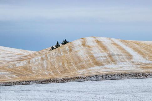 Palouse fields with snow