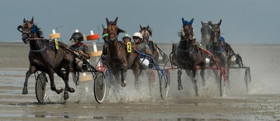 TROT RACE 7