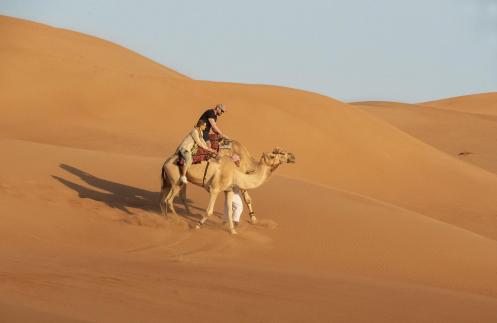 Desert Camel Ride