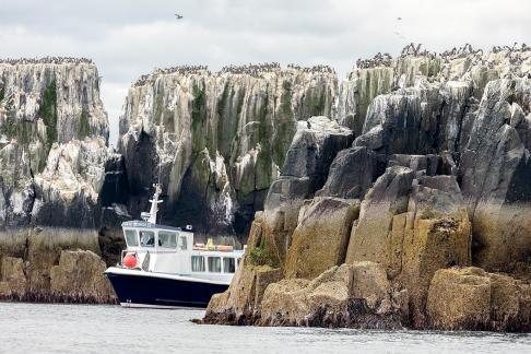 Barco en las Farnes