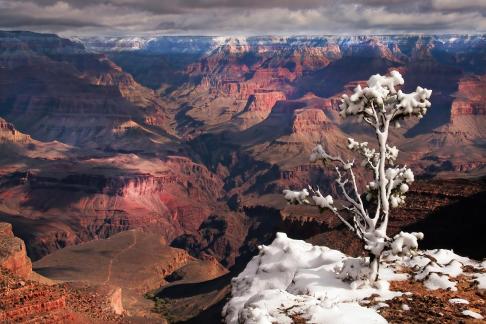 Grand Canyon