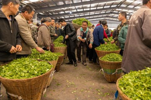 The lively tea market1