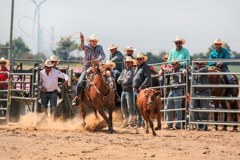 Calf Ropping 3