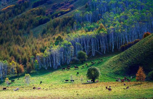 Autumn scenery on the ridge