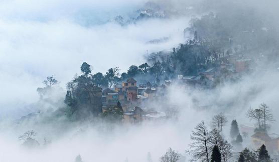 household in the fog