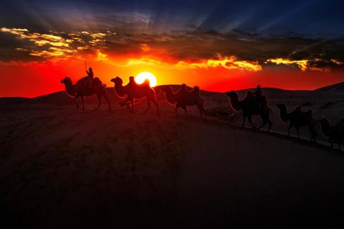 Jinhui painted camel shadow