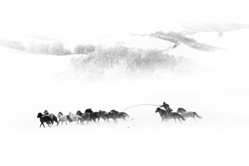 Capture the Horses
