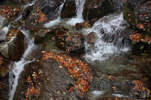 Mountain streams and rivers 1