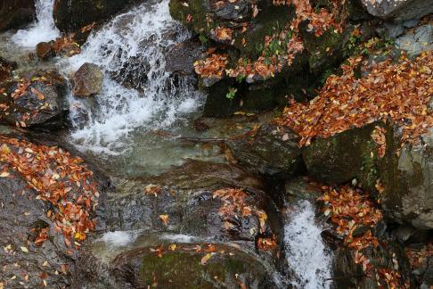 Mountain streams and rivers 2