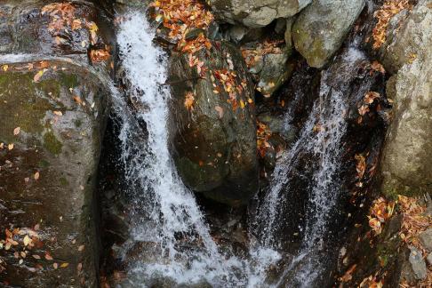 Mountain streams and rivers 3
