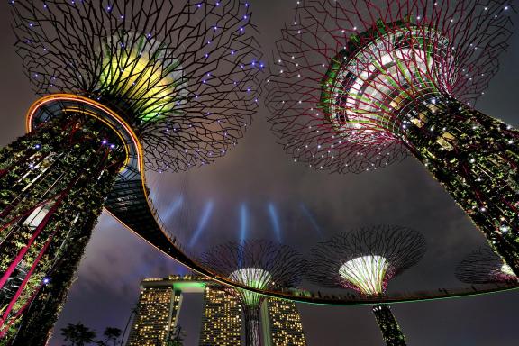 GARDEN BY THE BAY  AT NIGHT