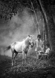 two more boys reading a book
