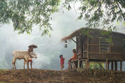Small village scenery