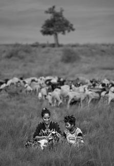 Shepherd with love