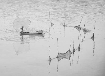 seine netting catch fish