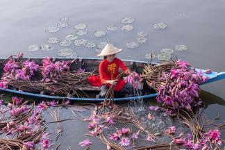 Lotus Girl in Red