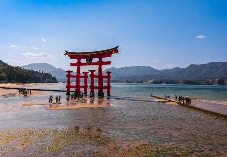 Walking Path to Torii Gate