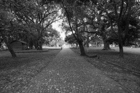 path leads to a secluded spot 1