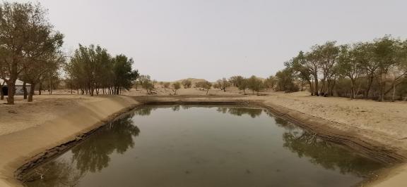 Tears of the Desert Heart 1