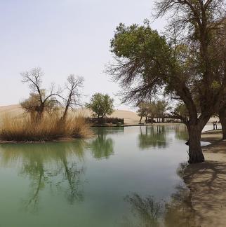 Tears of the Desert Heart 6