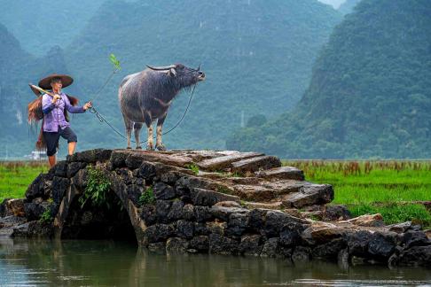 The Farmer and his companion