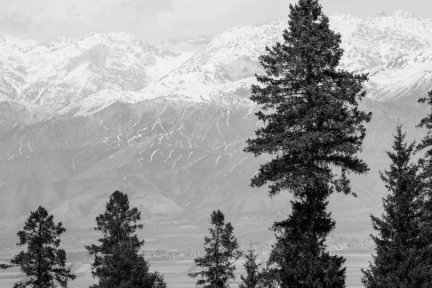 Snowy Ridge Pine Plains 7