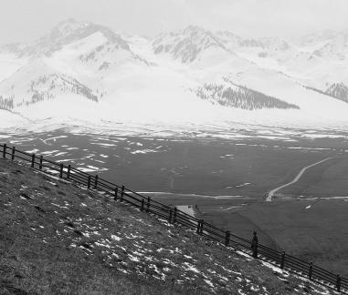 Snowy Ridge Pine Plains 8