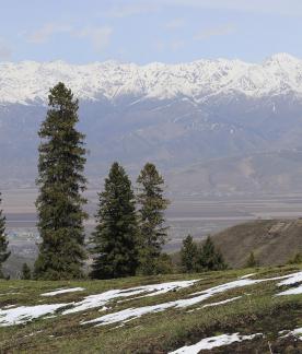 Snowy Ridge Pine Plains 10