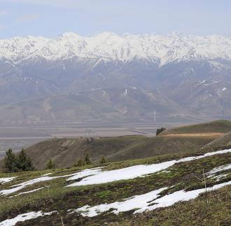 Snowy Ridge Pine Plains 11