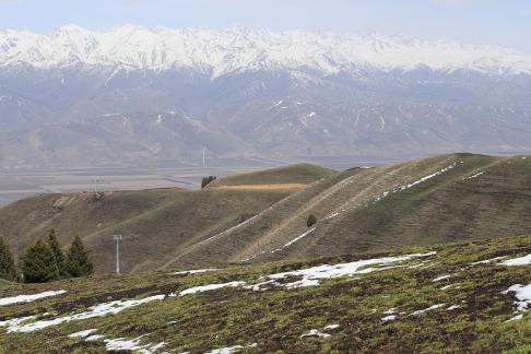 Snowy Ridge Pine Plains 13