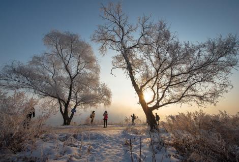 The Scenery of Winter