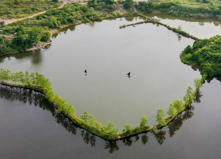 Playing in the water