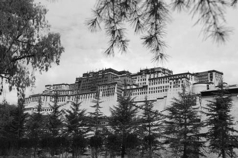 Take a photo in Xizang 31