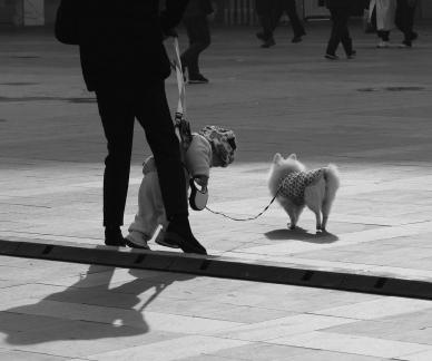 Street scenery 89