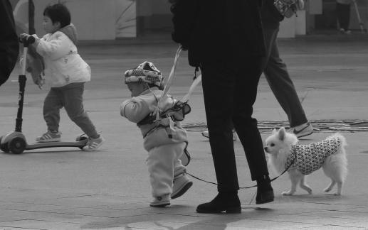 Street scenery 90