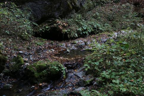Youlin Creek 1