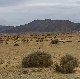 Millennium Desert 4