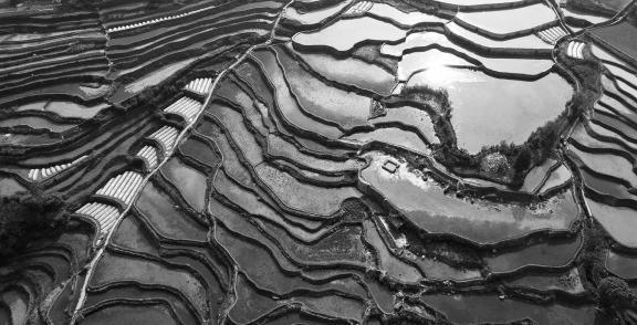 Terraced fields scenery 29