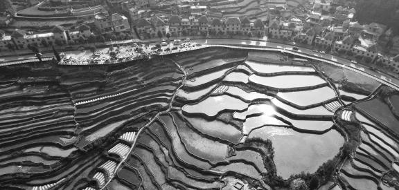 Terraced fields scenery 30