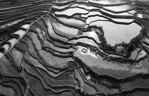 Terraced fields scenery 31