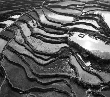 Terraced fields scenery 32