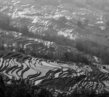 Terraced Fields Holy Scenery 6