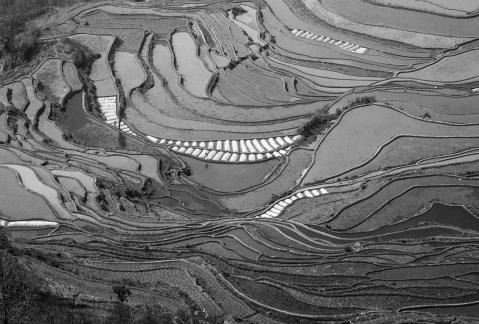Terraced Fields Holy Scenery 7